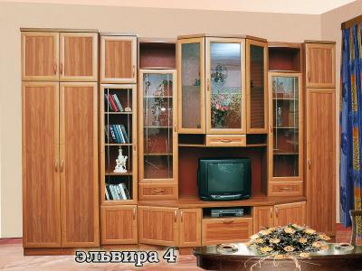 Эльвира-4