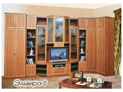 Эльвира-5